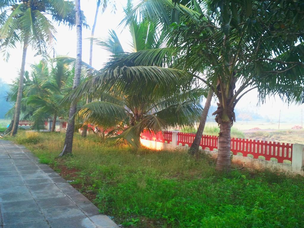 Quarto De Casa Tipri Saligao Exterior foto